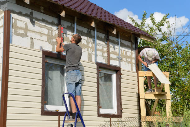 Best Vinyl Siding Installation  in Anthem, AZ