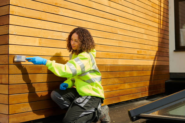Best Siding Removal and Disposal  in Anthem, AZ